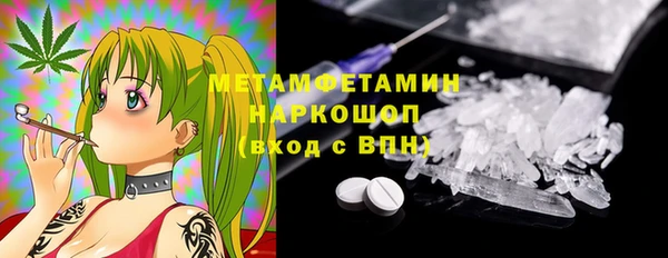 крисы Магадан