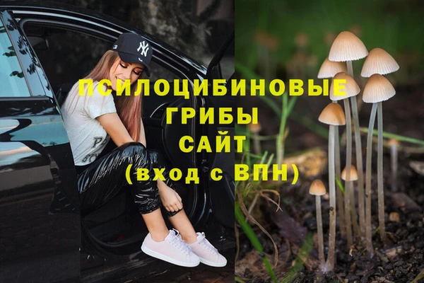 крисы Магадан