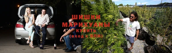 spice Майский