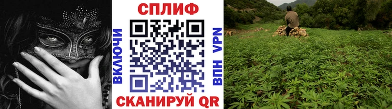 маркетплейс состав  Зуевка  Конопля план 